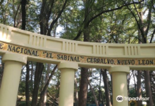 Parque Nacional El Sabinal景点图片