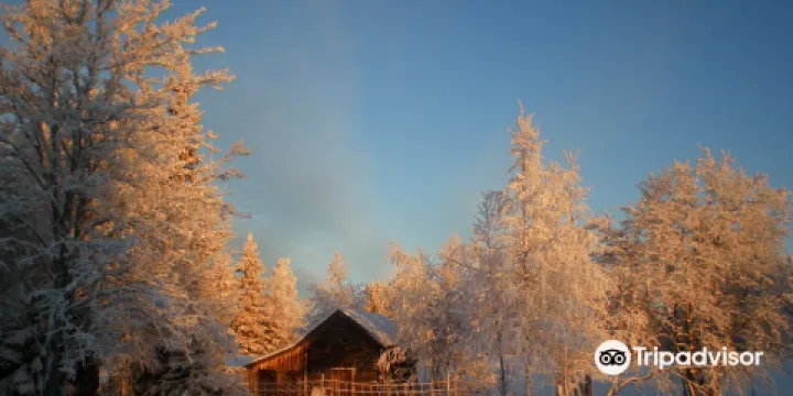 Palosaari Reindeer and Fishing Farm