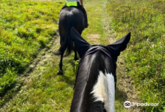 Coloured Cob景点图片