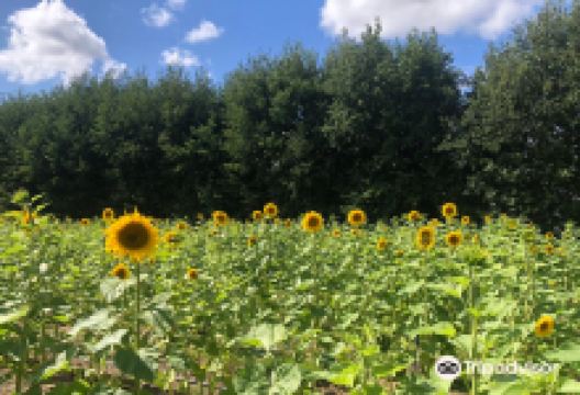 Rectory Farm景点图片