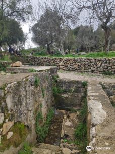 Begin Park-Harei Yehuda