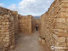 Al Balid Archeological Site-塞拉莱