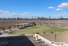 Vistandes Winery景点图片