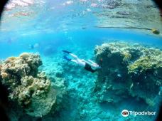 Eilat Coral Beach Nature Reserve-埃拉特