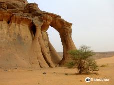 艾卡库斯沙漠-加特