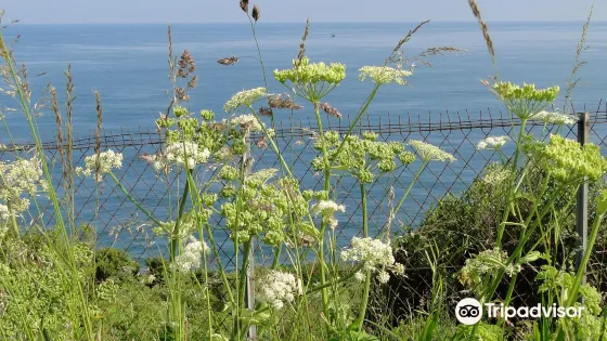 Jardin botanique littoral de Saint-Jean-de-Luz