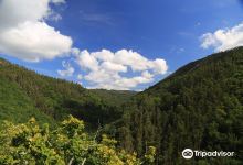Parque Natural Fragas do Eume景点图片