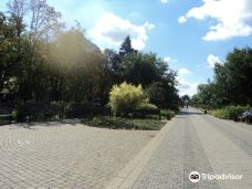 Botanical Garden of Professor I. S. Kosenko-克拉斯诺达尔