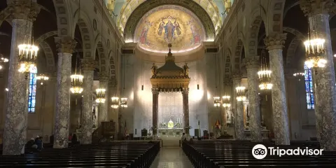 Basilica of the Immaculate Conception