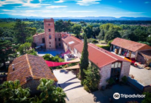 Domaine Lafage景点图片