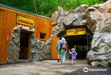 DinoPark Košice景点图片