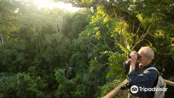 Manu National Park