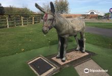 Dudley The Donkey景点图片