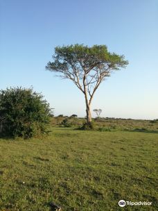 Bonamanzi Game Reserve-赫卢赫卢韦