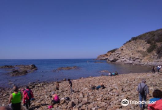 Cala San Quirico景点图片