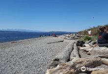 Richmond Beach Community Park景点图片