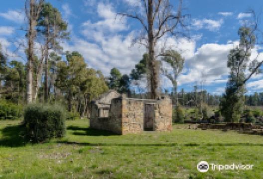 Wirrabara Forest Rd景点图片