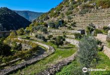 Quinta da Ferradosa景点图片