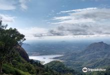 Nelliyampathy Hills景点图片