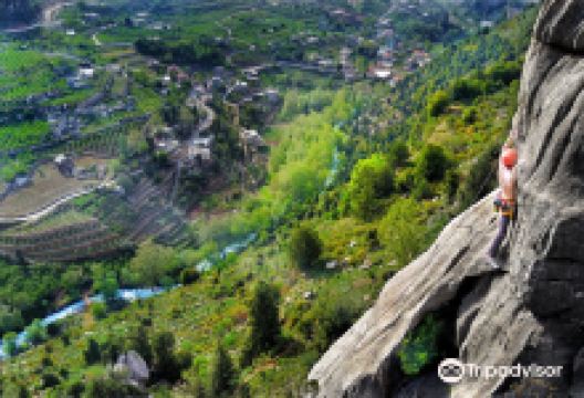 Flying Frog购物图片