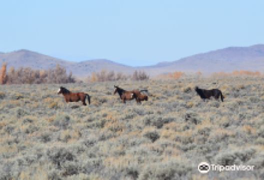 Los Caminos Antiguos景点图片