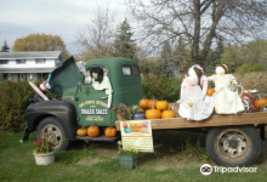 The Scarecrow Forest景点图片