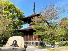 Chomphet Stone Sculpture Village and Temple Complex-巴色