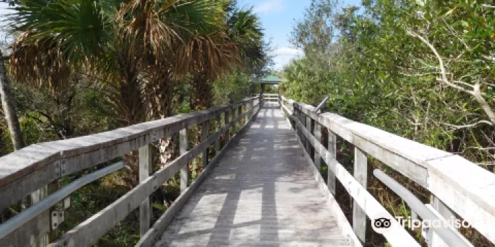 Chapel Trail Park Nature Preserve