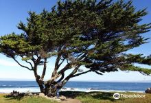 Monterey Bay Recreation Trail景点图片
