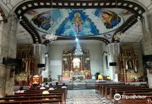Immaculate Conception Church景点图片