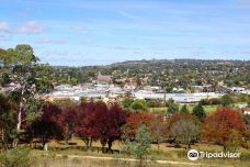 Drummond Apex Lookout-阿米代尔