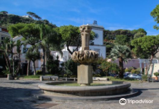 Chiesa di Santa Restituta景点图片