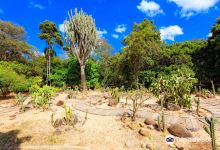 Jardin Botanico Santa Cruz景点图片