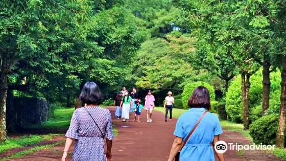 榧子林