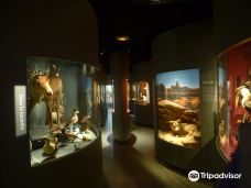 Museum d'Histoire Naturelle-第戎