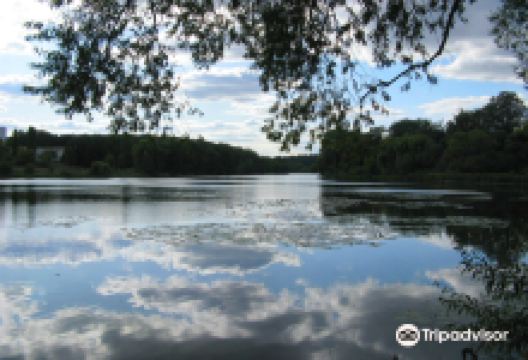 Arboretum Oleksandriya景点图片