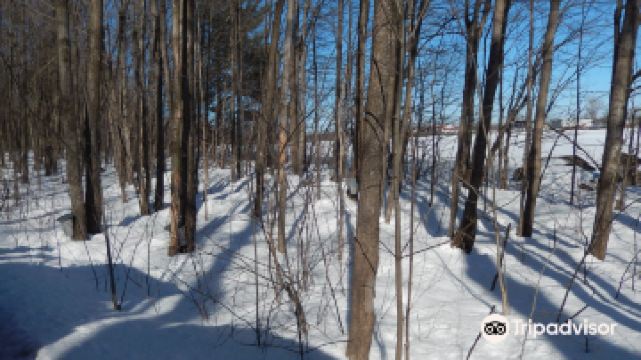 Cabane a Sucre Bouvrette