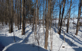 Cabane a Sucre Bouvrette