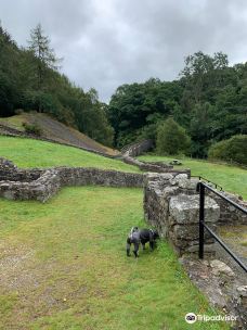 Bryntail Lead Mine Buildings-Llanidloes Without
