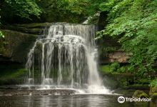 West Burton Falls景点图片