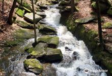 Chesterfield Gorge State Park景点图片