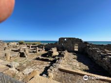 巴埃洛克劳狄亚-塔里法