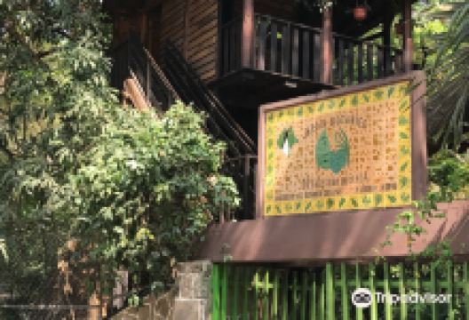 Faustino Miranda Botanical Garden景点图片