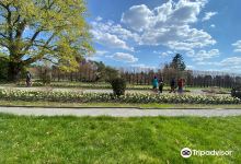 Massachusetts Horticultural Society - Garden at Elm Bank景点图片