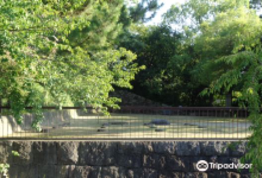 有岡城景点图片