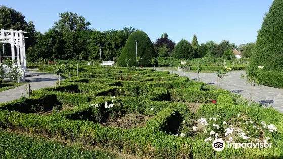 Parcul Rozelor