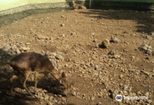 Taman Wisata Studi Lingkungan景点图片