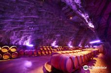 Terra Vinea-波尔泰代科尔比埃