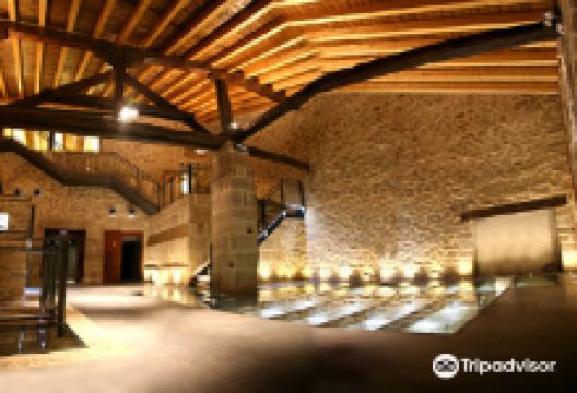 Bodega Casa Primicia景点图片