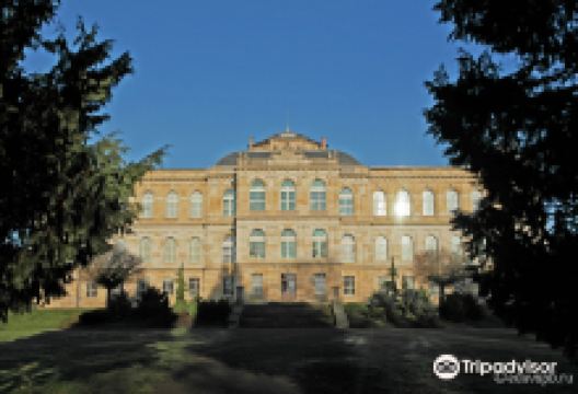 Herzogliches Museum景点图片